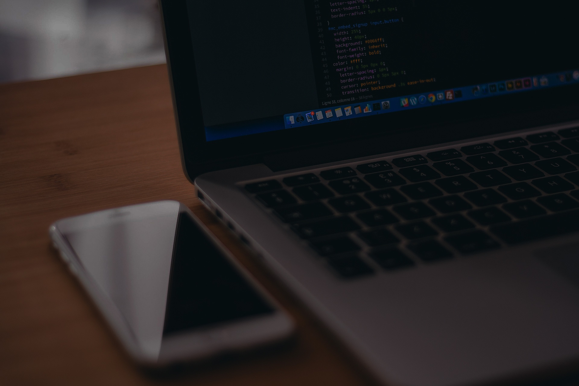 웹 개발 전문성